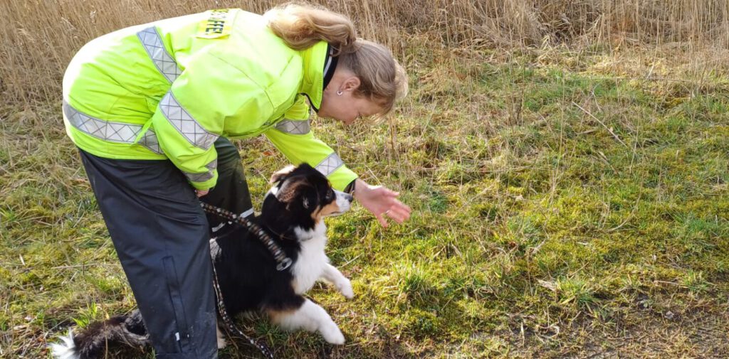 rettungshundestaffel oldenburger land mantrailing